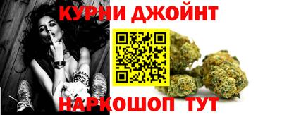 гашик Гатчина
