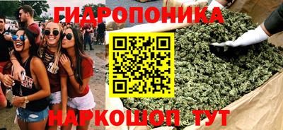 гашик Гатчина
