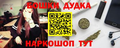 гашик Гатчина
